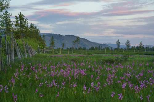 Main Street, Preston, ID